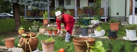 hauseigener Kräutergarten mit unserem Küchenchef