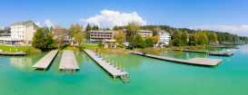 Luftaufnahme hauseigener Steg am Klopeiner See