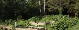 privater, hauseigener Kräutergarten beim Kleinsee